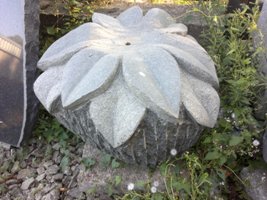 29082012127.jpg