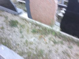 29082012135.jpg